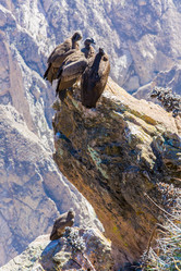 Similar image 8356473