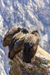 Similar image 8356474