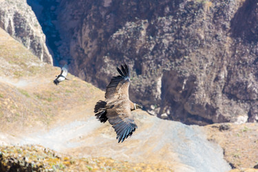 Similar image 8356477