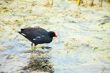 Similar image 8356484