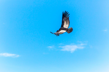 Similar image 8356491