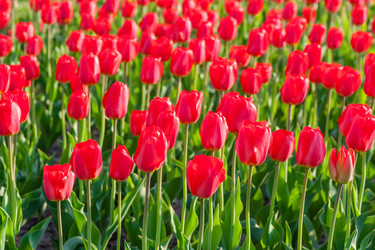 Similar image 8356510