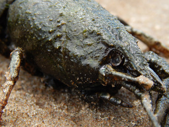 Similar image 8356521