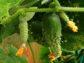 Similar image 8356522