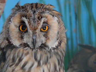 Similar image 8356523