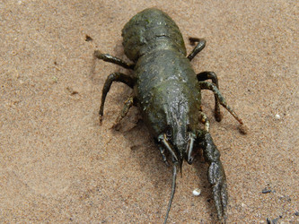 Similar image 8356526