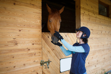 Similar image 8356528