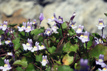 Similar image 8356565