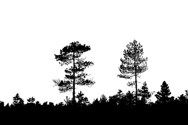 Similar image 8356574