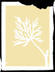 Similar image 8356584