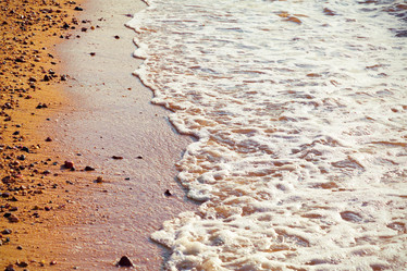 Similar image 8356600