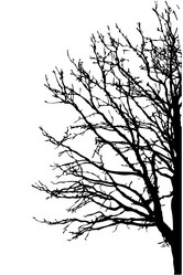 Similar image 8356605