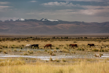 Similar image 8356701