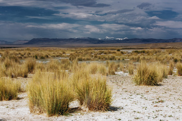 Similar image 8356702