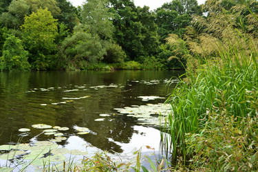 Similar image 8356944