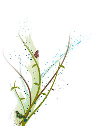 Similar image 8357058