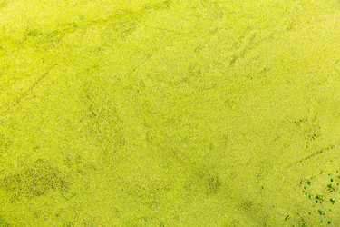 Similar image 8357162