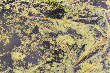 Similar image 8357163