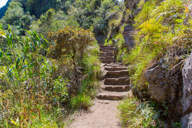 Similar image 8357225