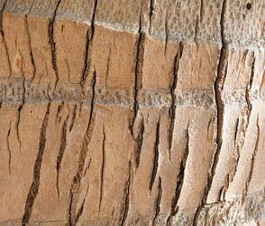 Similar image 8357244