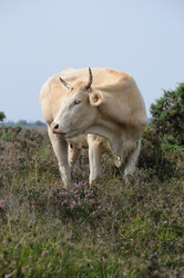 Similar image 8357338