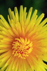 Similar image 8357341