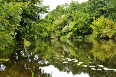 Similar image 8357374