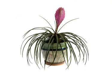 Similar image 8357388