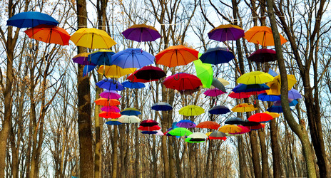 Similar image 8357415