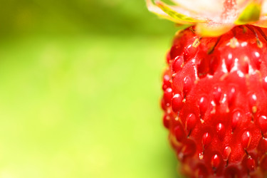 Similar image 8357546