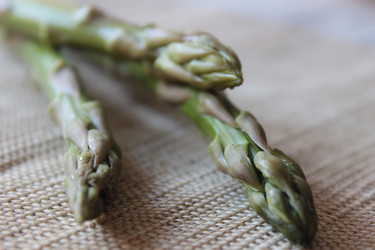 Similar image 8357550