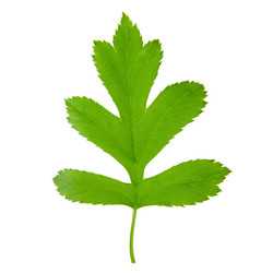 Similar image 8357584