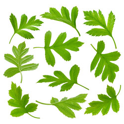 Similar image 8357589