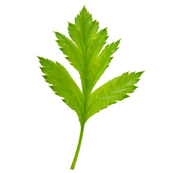 Similar image 8357601