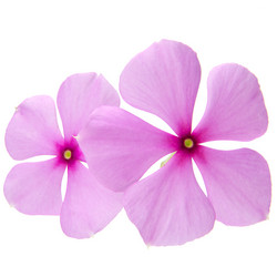 Similar image 8357616