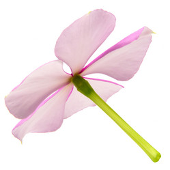 Similar image 8357619