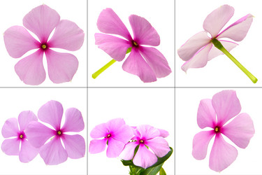 Similar image 8357620