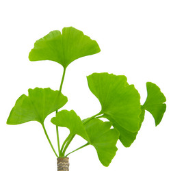 Similar image 8357626