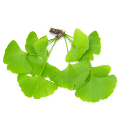 Similar image 8357629