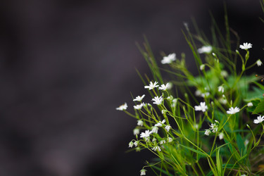 Similar image 8357660