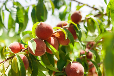 Similar image 8357662