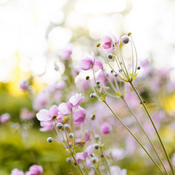 Similar image 8357685