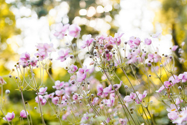 Similar image 8357693