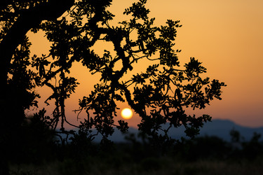 Similar image 8357695