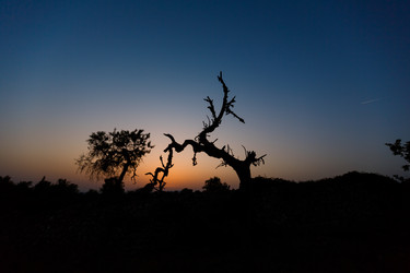 Similar image 8357696