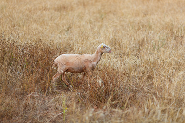 Similar image 8357698