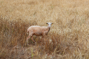 Similar image 8357700