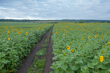 Similar image 8357833