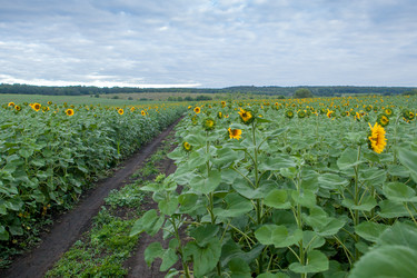 Similar image 8357834