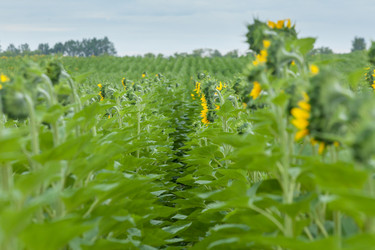 Similar image 8357839